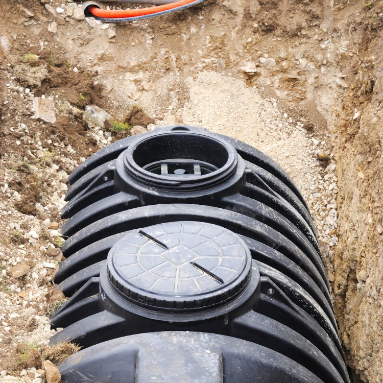 Just another WordPress site